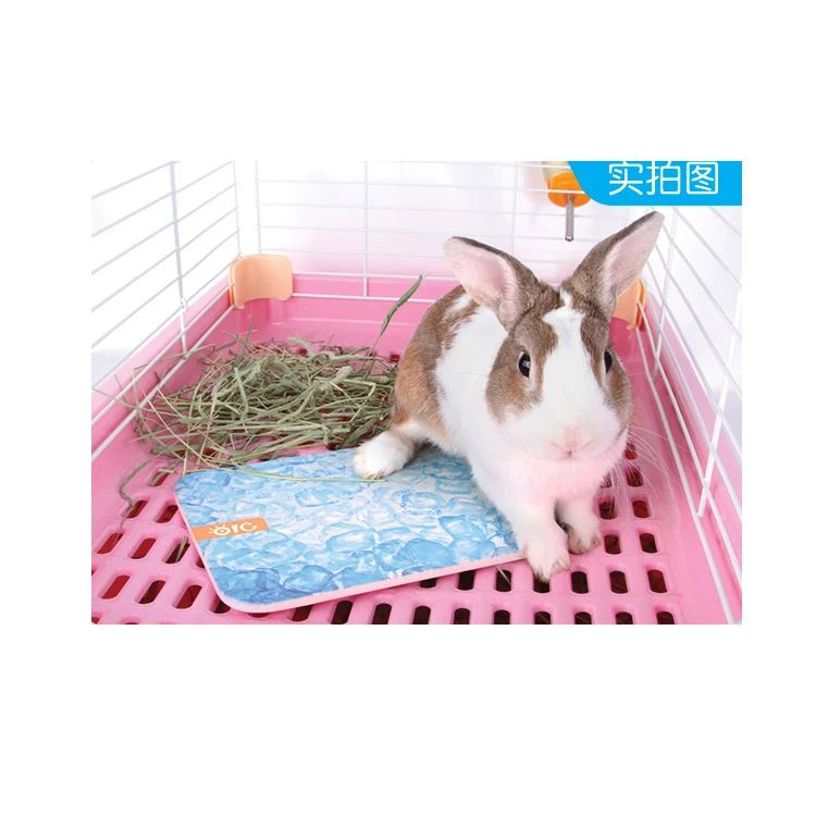 
Pet Product OIC Large Magicool Cooling Pad For Small Pet 