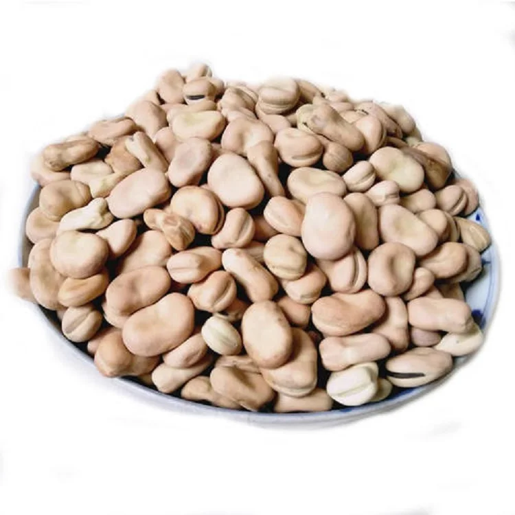 2021crop Dried 0-60 60-70 70-80 pcs Peeled Broad Beans price