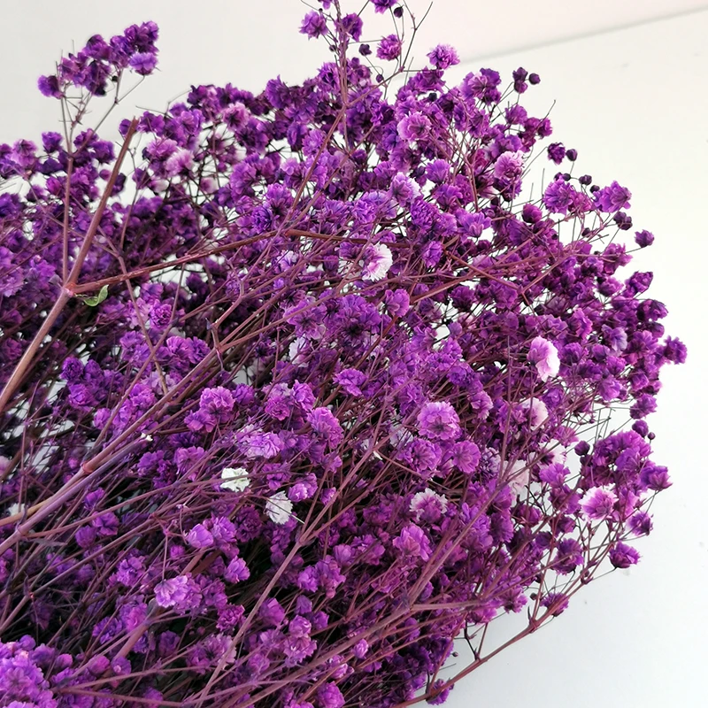ZanTe 2022 big bunch real touch wedding cream white dried nature preserved baby breath Gypsophila Paniculata babybreath flowers