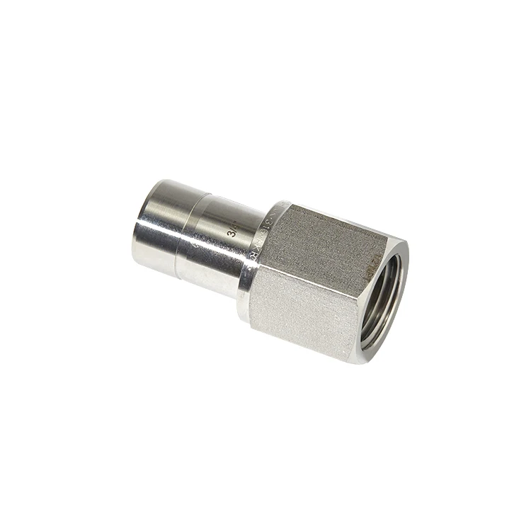Stainless Steel Pipe Fittings 3/4 Tube Connectors with O.D X 1/2 NPT Female Adapters