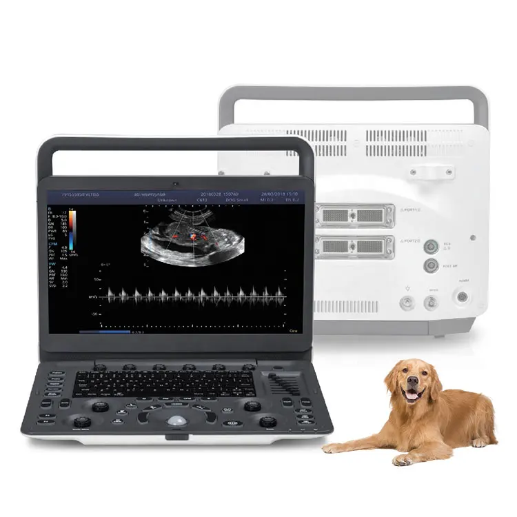 Veterinario Ecografo Doppler Portatil Sonoscape E2V Pet Clinical Use Portable Color Doppler System