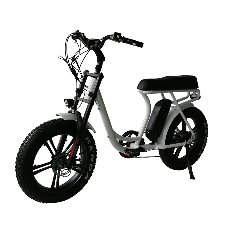 Long Seat 48V 13Ah eBike 2 seat electric bike 750W Brushless Motor Electric Bicycle With 7 speed gears and Disc Brake