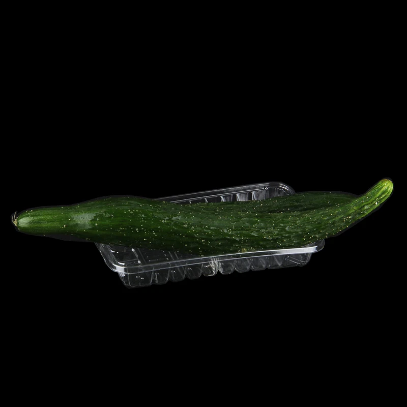 Eco-Friendly Disposable PET Plastic Tray Recyclable Embossed Fruit Box Packing Trays in Various Sizes Cake Pet Food Agriculture