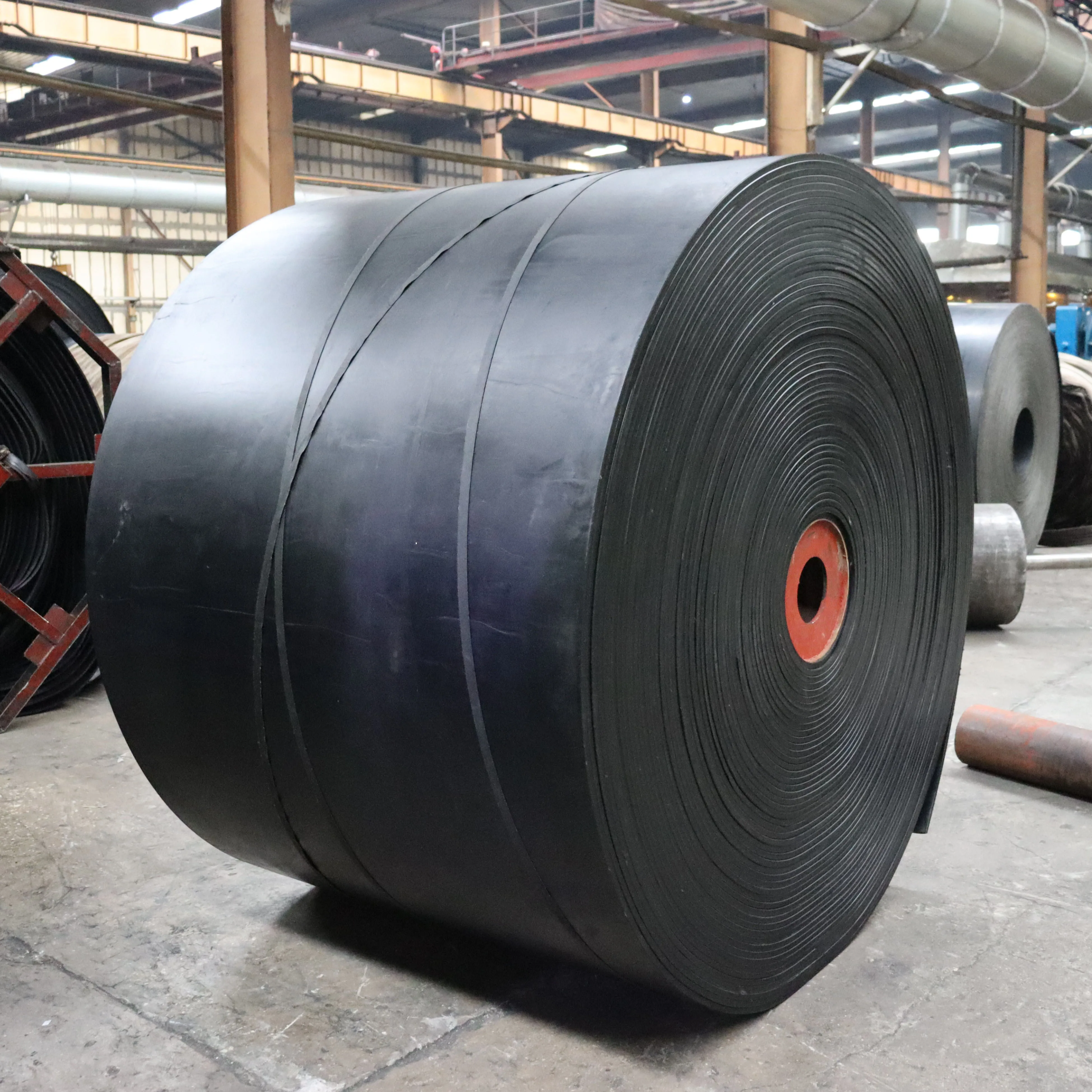 Moulded Cut Edge Iso Standard Industrial Nylon Conveyor Belt 20 Mpa