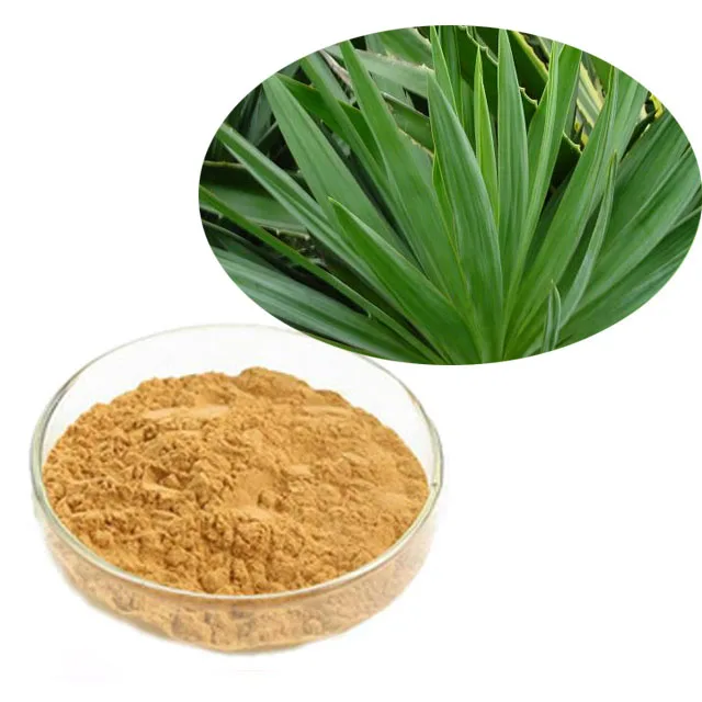 
Factory Supply Food grade yucca extract powder / yucca schidigera extract 