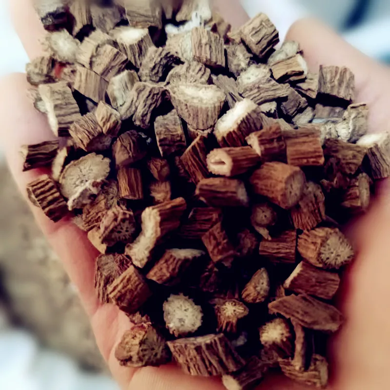 Factory Wholesale Price Traditional Herbal Chinese Herb Materials Burdock Root  Niu Bang for Sale