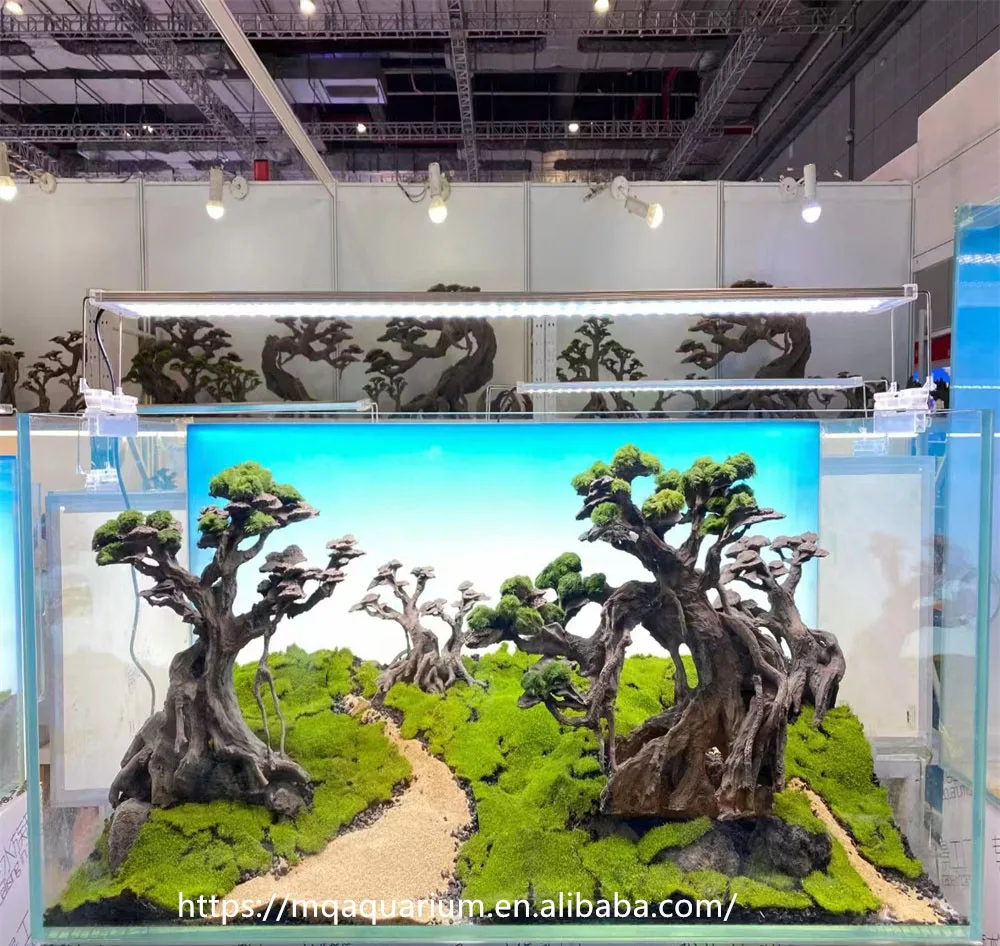 Natural drift bonsai Brazil tree branche roots driftwood aquarium wood for Aquascaping