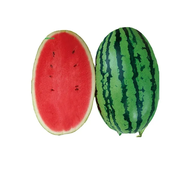 BS3 высококачественные органические гибридные семена арбуза большого размера, семена китайской дыни