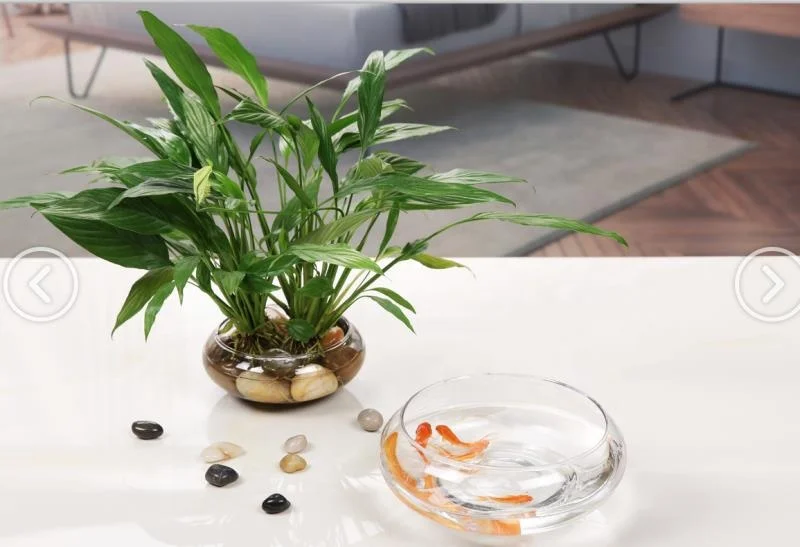 Нежный стеклянный террариум для миниатюрных фигурок «сделай сам» микроландшафтные украшения растений украшение сада/помещения/дома сказочный сад