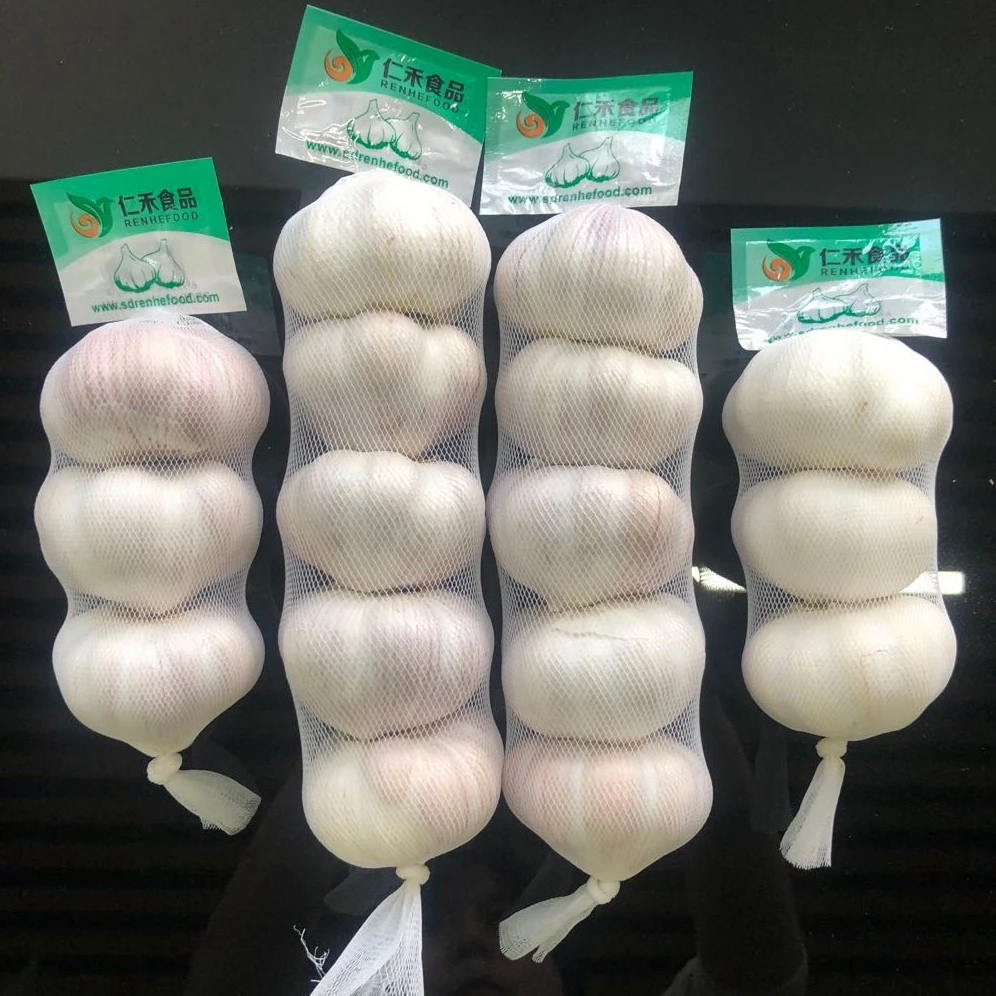 Alho Fresco 10kg Box Packing Fresh China 2023 Crop Garlic Price