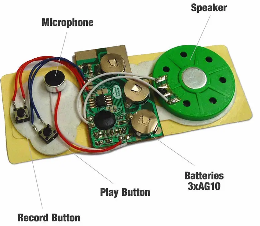 Card sound module (4).jpg