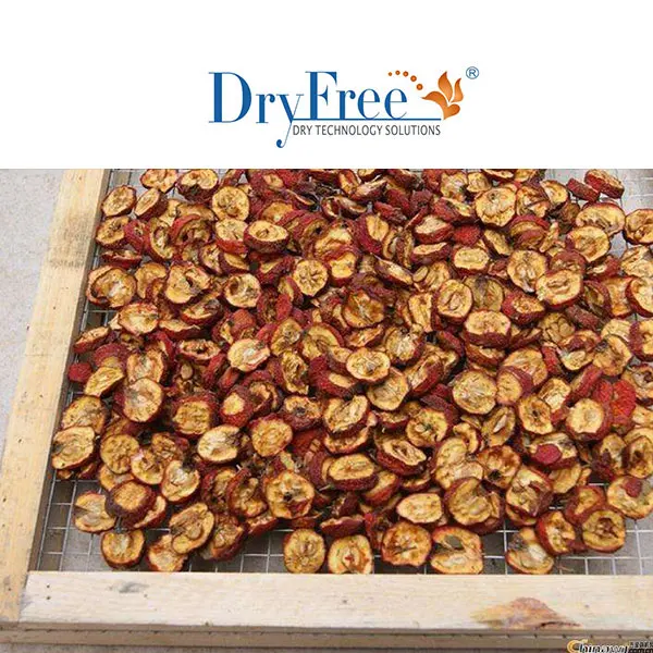 High Efficiency Good Quality Multifunction heat pump fruit dehydrator corn coconut  plum dryer machine