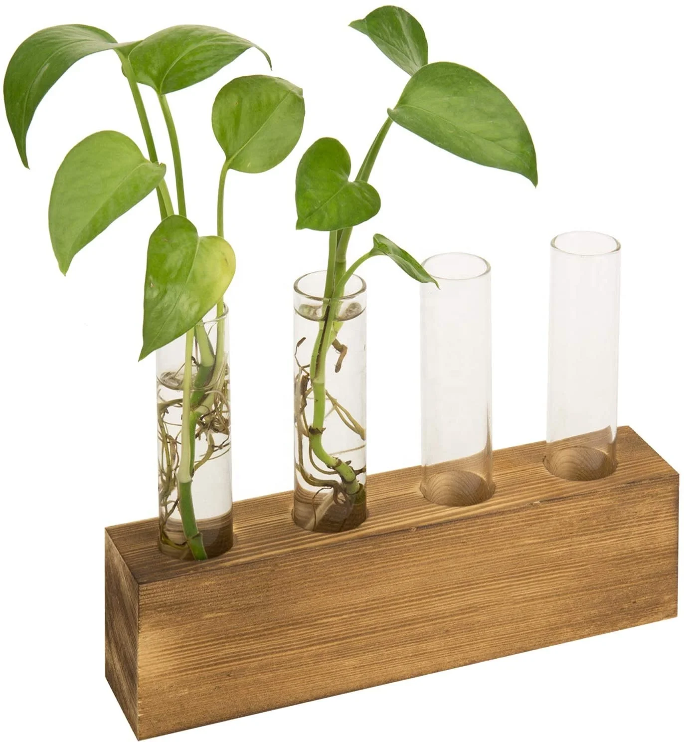 Glass test tube water plant flower vase with rustic brown wooden block base