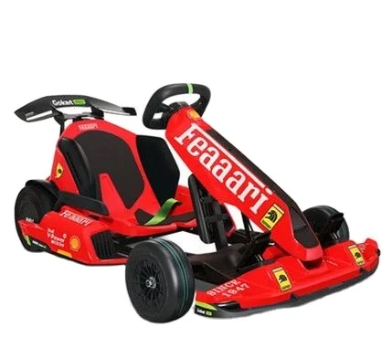 2024 STOCK E-Scooter Electric Gokart pro ferrari edition 4800W For Kids And Adults Outdoor Race Pedal Go Karting Self