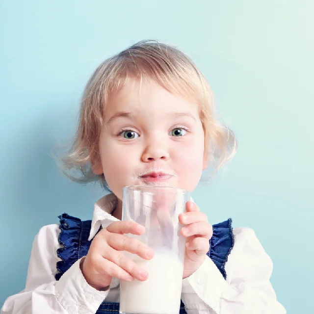 La Nutre 1808 - Fat Filled Milk Replacer 25Kg drying Non-Dairy blend Mix Powder - Vegetable Fat 18% & Protein 0.8%