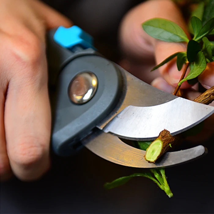 Bypass Hand Pruner Bonsai Shears Plants Trimmer Pruning Scissors Gardening Pruner Shears