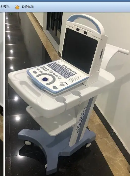 All In One Laptop Tablet Endoscope Patient Monitor Cart Ultrasound Trolley For Mindray Z5/6 M9 Te7 M7 Ge