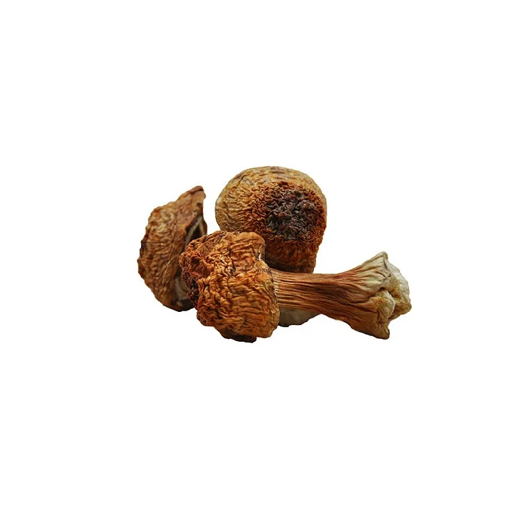 Натуральные товары Китай органические продукты питания сушеные грибы Agaricus Blazei