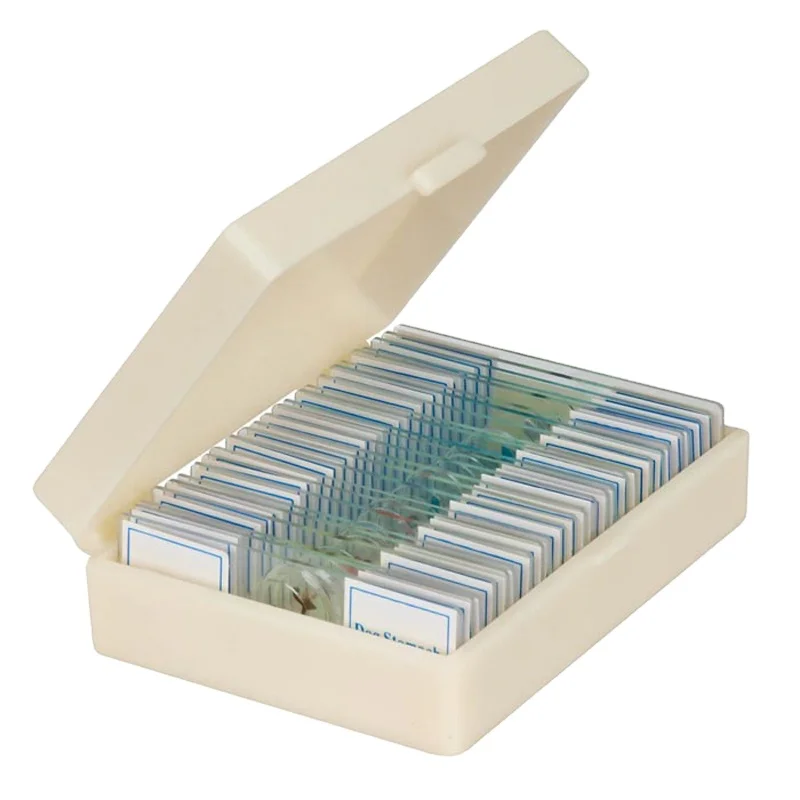 Medical Science The best selling high quality microscopically prepared slides of human tissue and urinary system