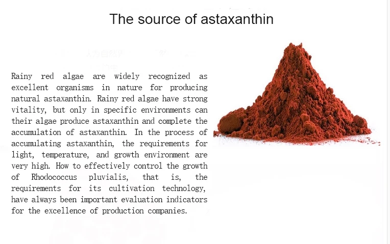 Factory Supply Pure Astaxanthin Price Haematococcus Pluvialis Extract Astaxanthin Powder
