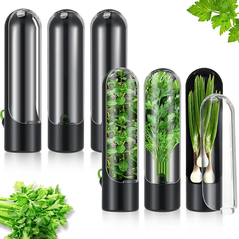 Herb Saved Pot Vanilla Vegetable Mint Asparagus Fresh-Keeping Plastic Storage Box for Home Kitchen Use