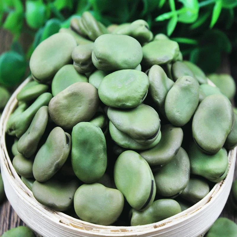 Дешевая коричневая и зеленая фасоль, очищенные бобы для экспорта