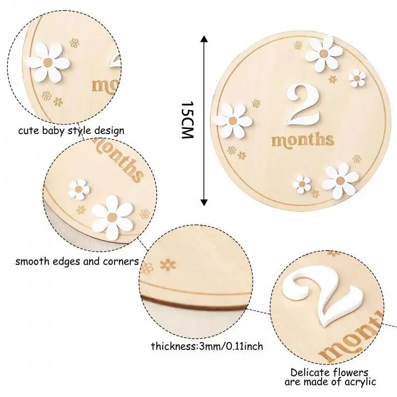 Wooden Daisy Flower Arched Milestone Cards Monthly Milestone Markers Interchangeable Milestone Card Photo Prop