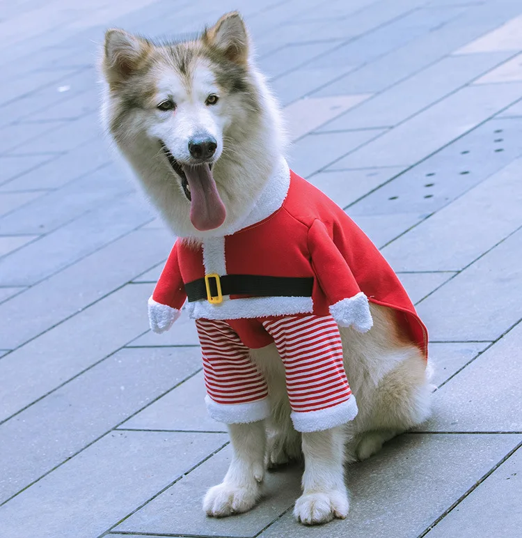 Small Large Dogs Pet Cat Christmas Santa Claus Clothes Warm Outfit Costume,S