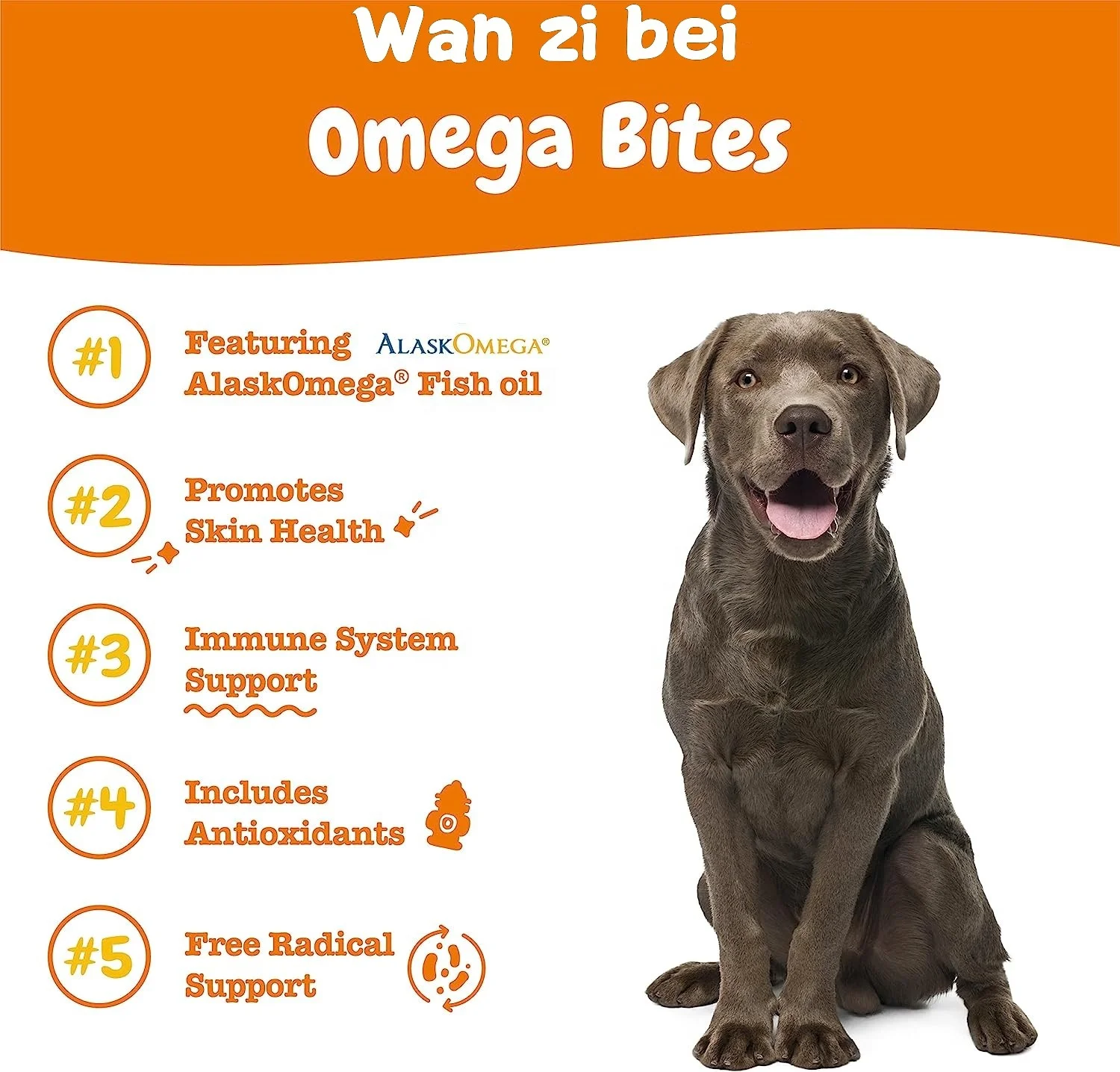 Custom  - Omega 3 soft chews for Dogs Skin and Coat Supplement for Dogs - Supplement vitamin nutrition for dogs