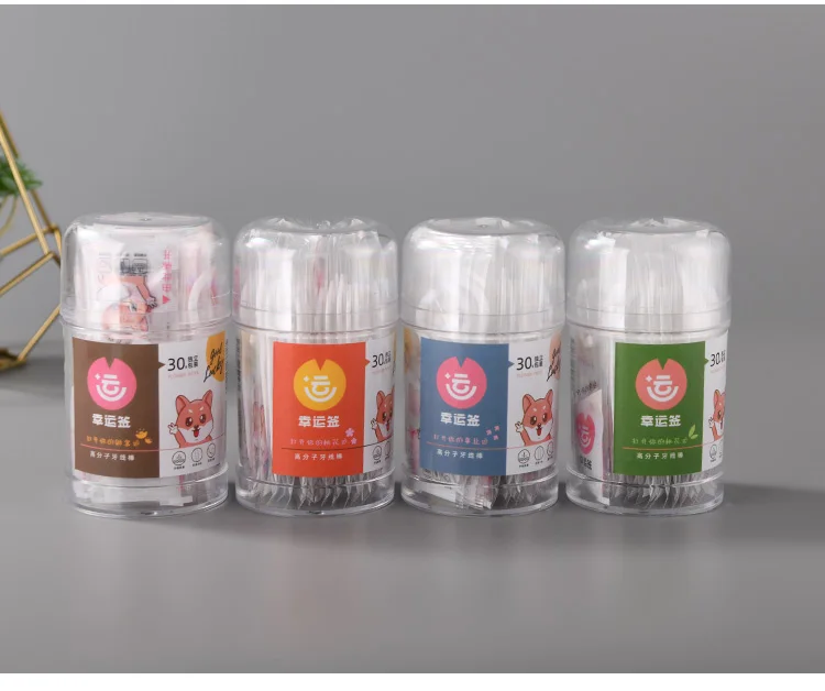 Private Label Eco Friendly Dental Flosser Toothpick Pick Plastic with 30pcs portable individual packaging OEM Customized