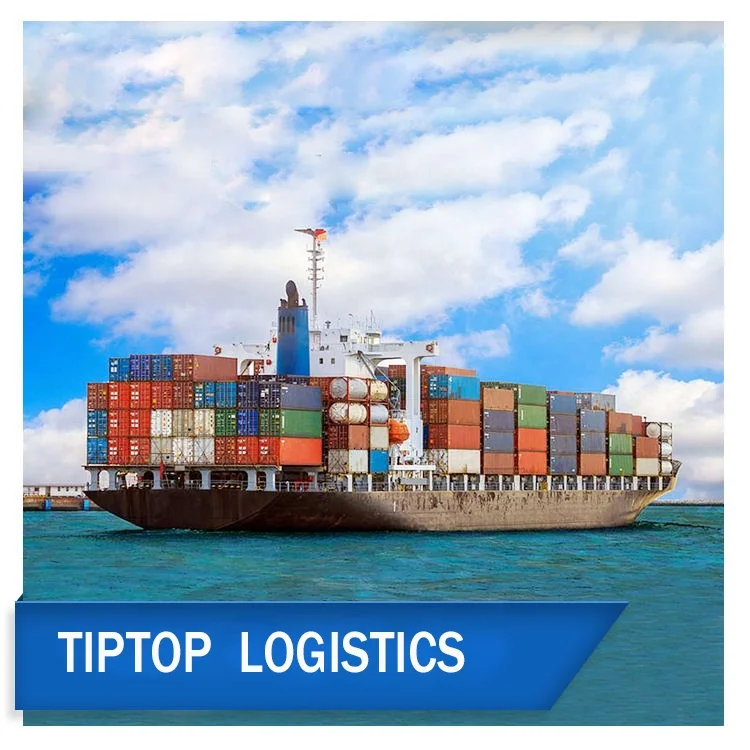 International Air / Sea / Express Freight Forwarder From China To Germany / Italy / France / Netherlands / Australia