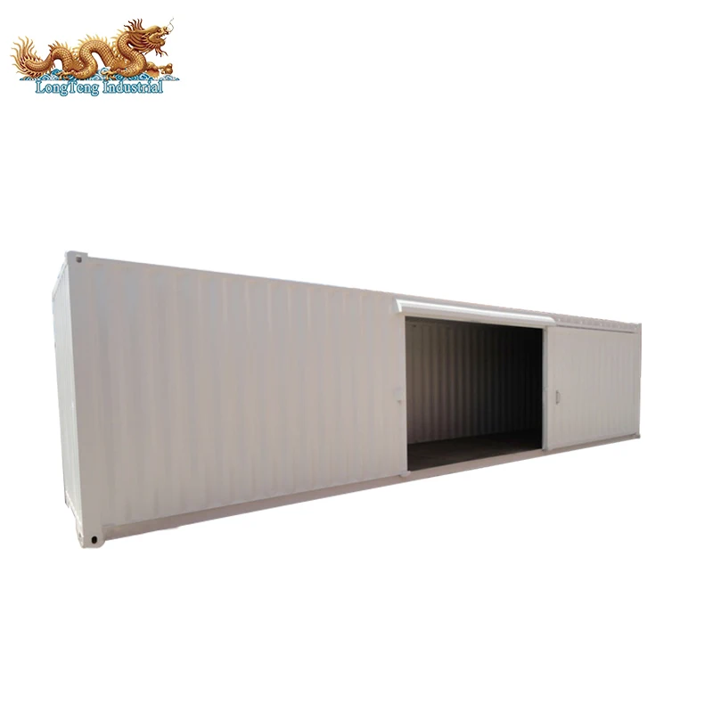 Custom Brand New 20ft 40ft Sliding Door Cargo Container