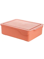 2021 Fiducia Amazon Hot Sale Plastic Wardrobe storage box with cover underwear Bra Socks compartment organization storage bin