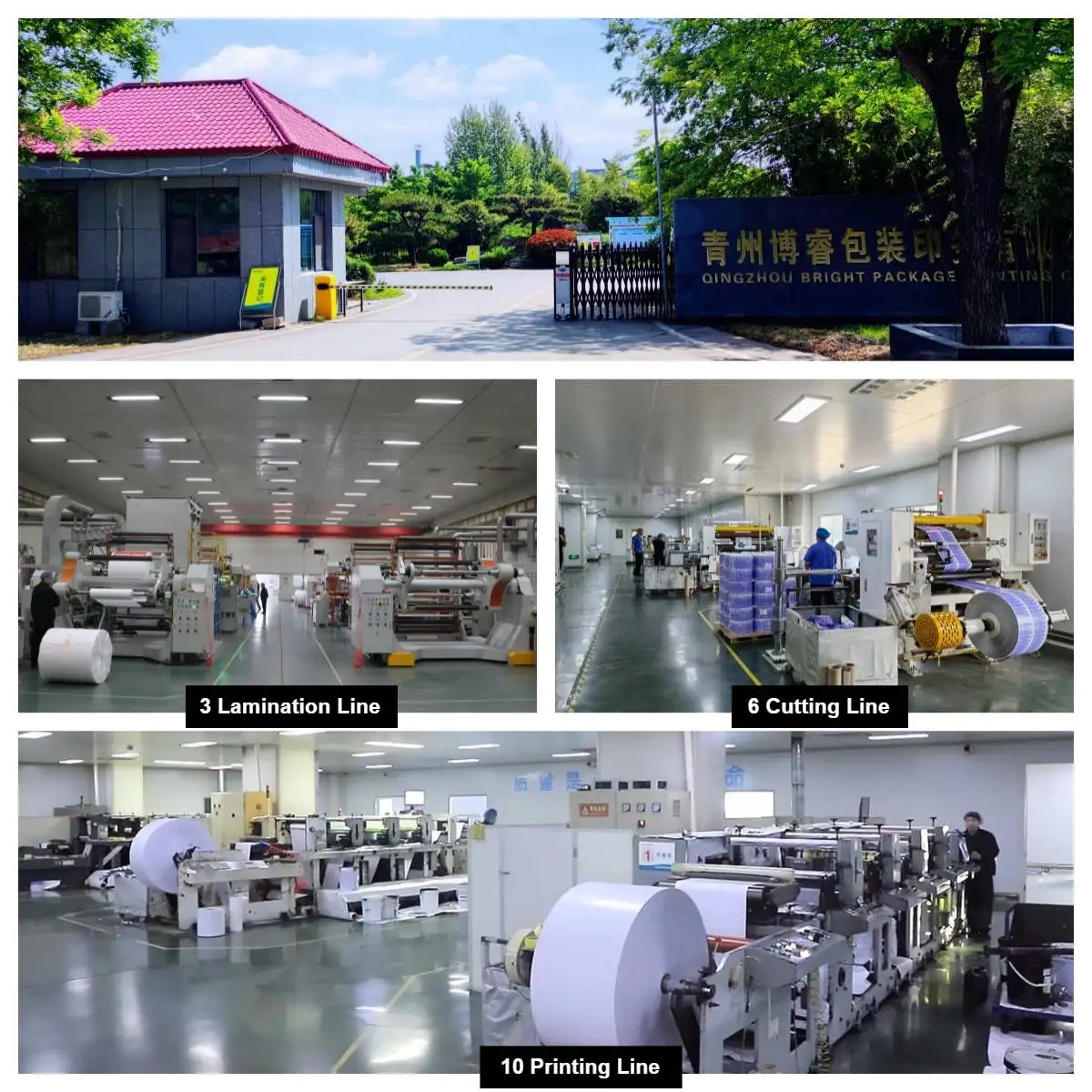 paper-aluminum foil laminate custom printed powder packaging roll for pharmaceutical sachet and pouch packaging