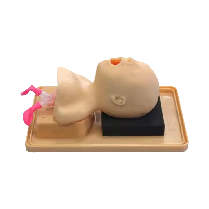 ADA-J2A PVC Anatomical Model Neonate Head for Trachea Intubation Training Nursing and Medical Science Use