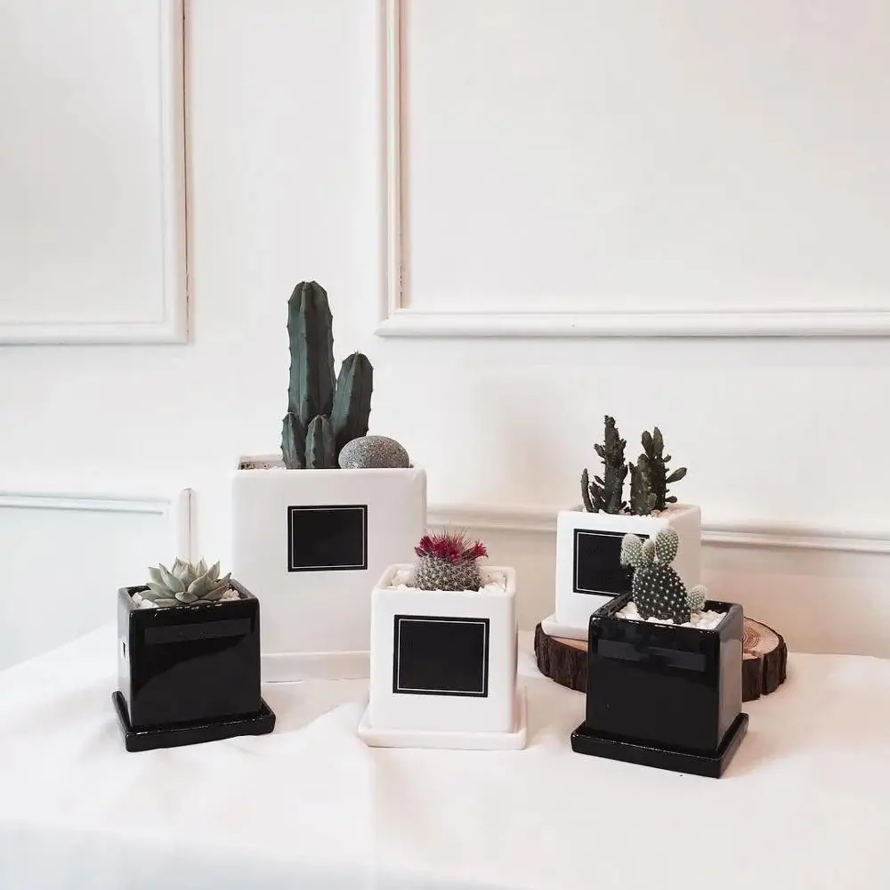 8*8*8cm/10*10*10cm Black and white matte flower pot square and round pot plant flower pot ceramic