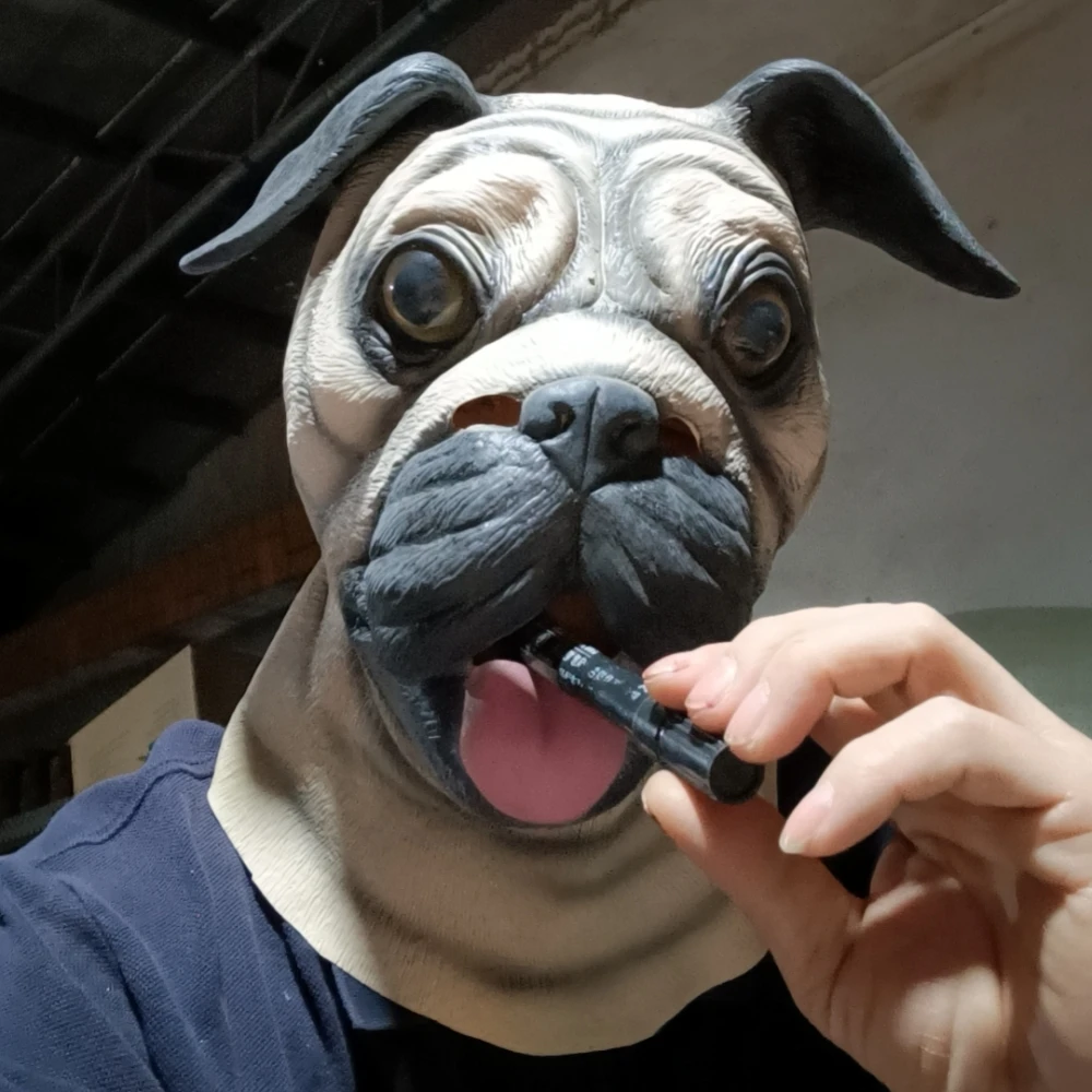 _20231126100156_.jpg