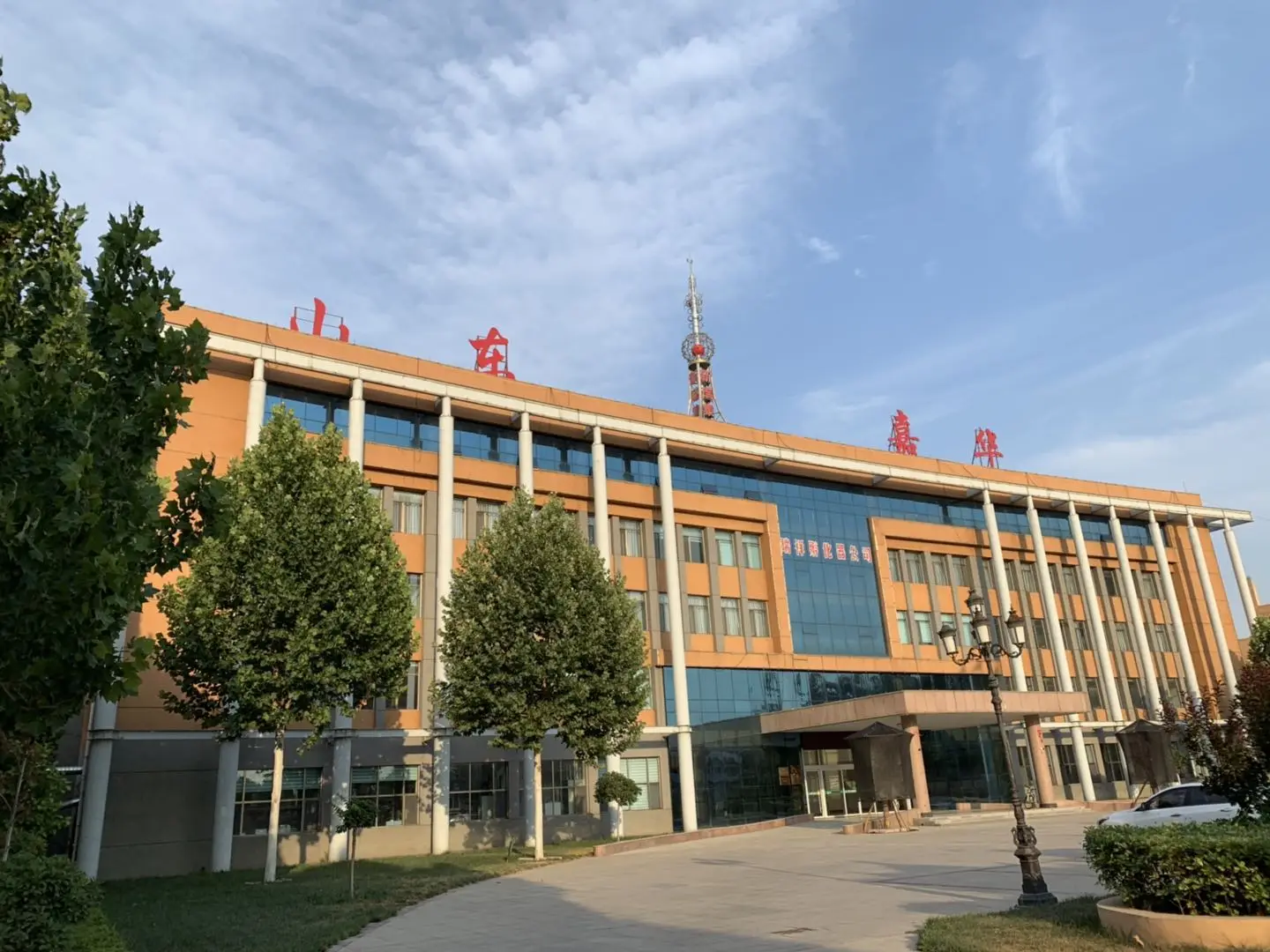 Высокое качество эмульсия тип не-gm изолированный соевый белок 9001BW