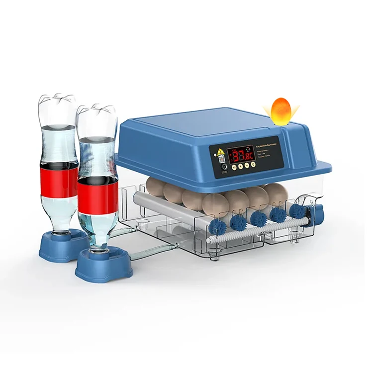 chicken duck goose pigeon quail egg incubator dual power supply DC 12V  AC 110V 220V hatching machine