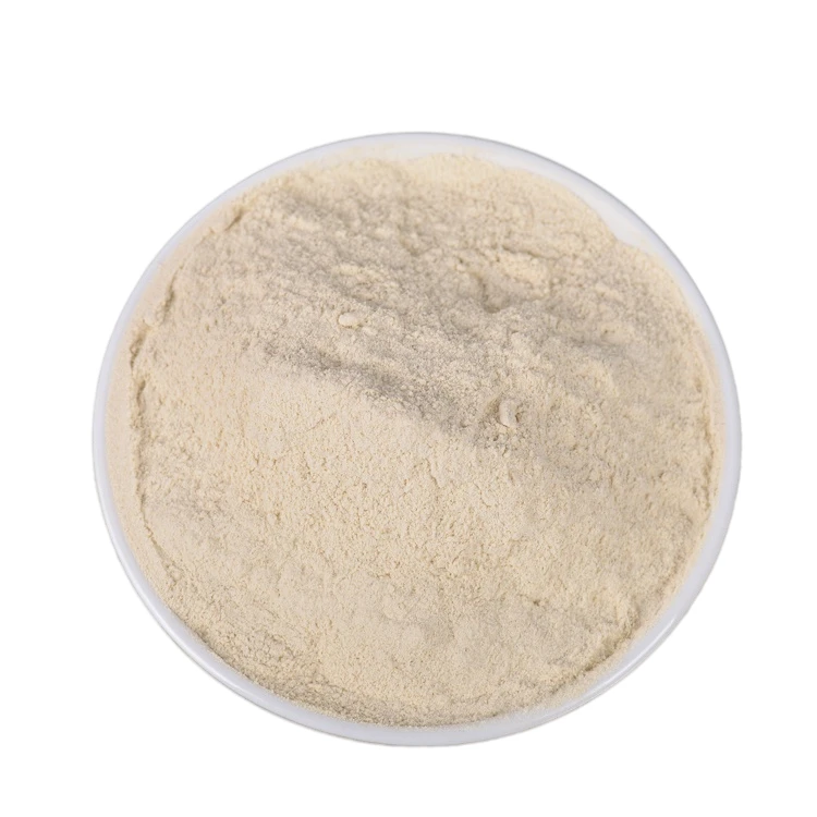 High Quality Good Price Dehydrated White Onion Dehydrated Vegetables Powder