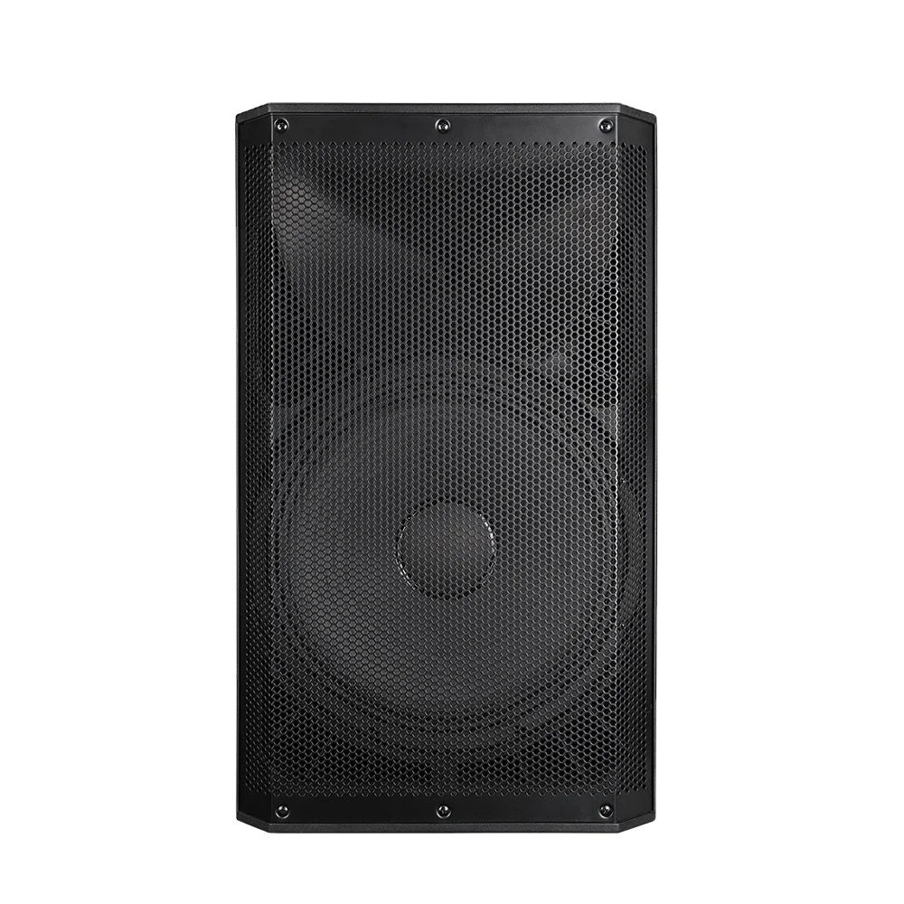 1000W Professional Stage Karaoke DJ Equipment Active Loudspeaker