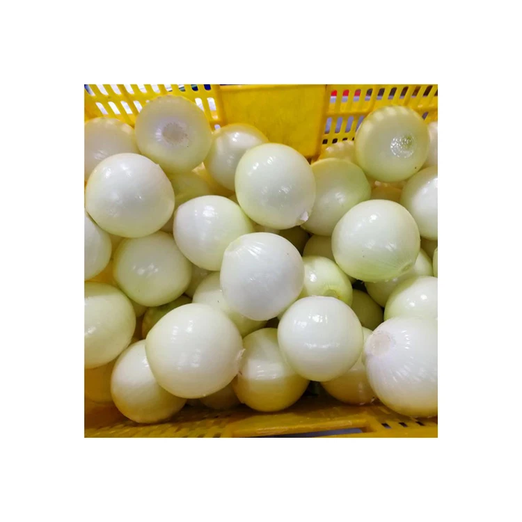 Factory direct sale frozen vegetable producer round onion bulk IQF white onion