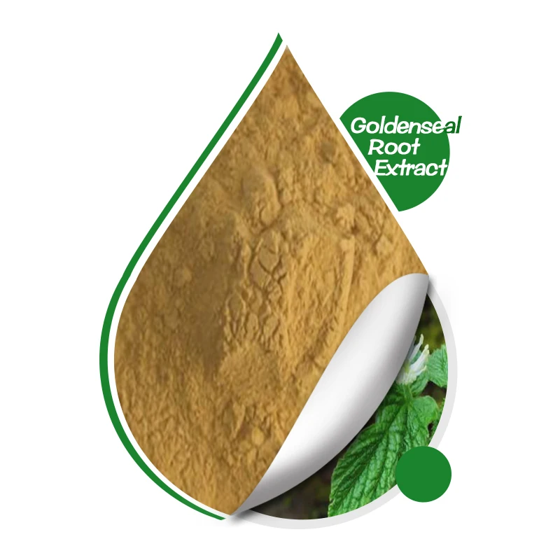 Поставка бесплатный образец экстракт корня Goldenseal в наличии 5% Берберин натуральный порошок