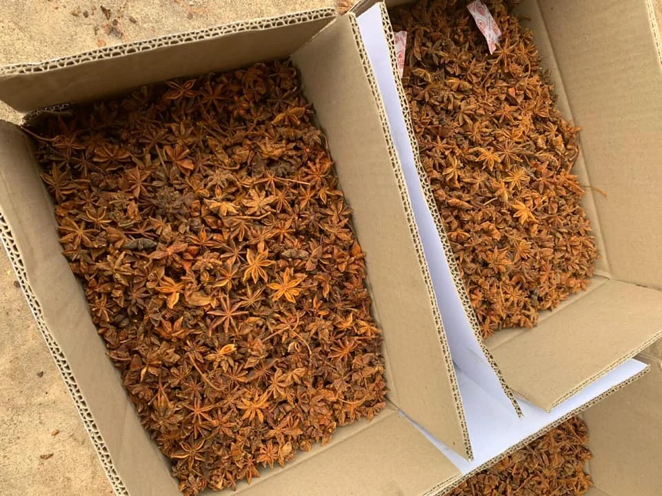 BROKEN STAR ANSIE CHEAP PRICE FOR GRINDING PURPOSE STAR ANISEED BROKEN STAR ANISE CHIPS