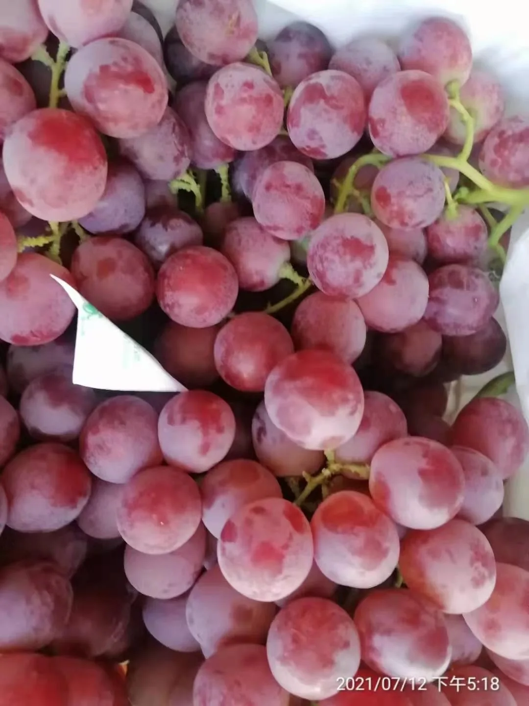 new crop Fresh Grapes Red Globe Purple Box Sweet  Style June Storage Packing Global GAP Color Origin Type Season Variety Size