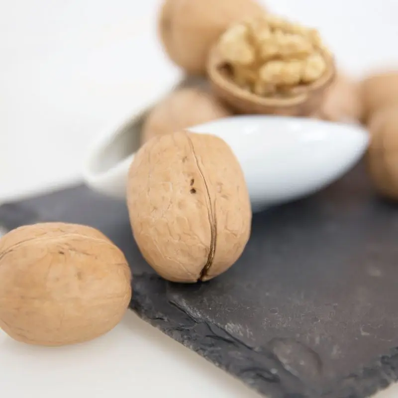 chinese top grade wholesale walnuts walnuts 185 xinjiang inshell  price