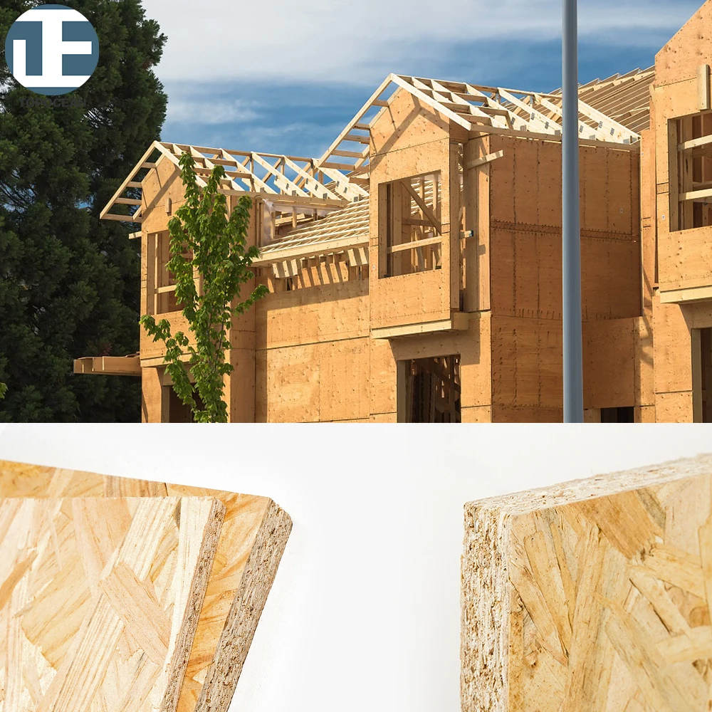 Cheap OSB Board Wood Panels 4x8 9/12/15/18/25mm OSB Panel For Outdoor Construction Material