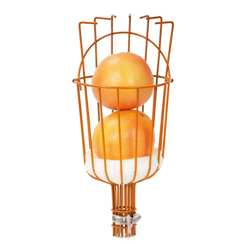 Stainless Steel Apples Mango Pear Orange Avocados Picking cherry metal telescopes fruit picker tool