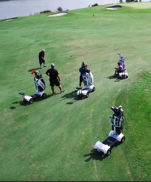 cheap electric golf lithium battery board