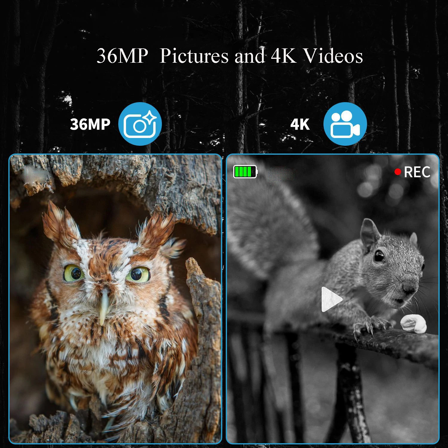 Custom Manual Focusing Waterproof 4K Digital Hunting Night Vision Binoculars Long Range Night Vision at Day and Night